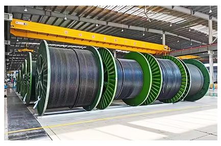 微信图片_2025-11-12_100013_368