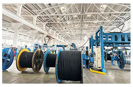 微信图片_2025-11-12_100025_663