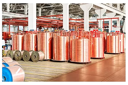 微信图片_2025-11-12_100050_559