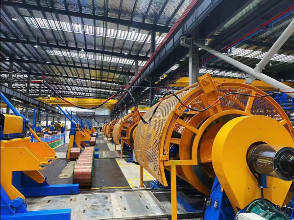 202208261615202965 (1)