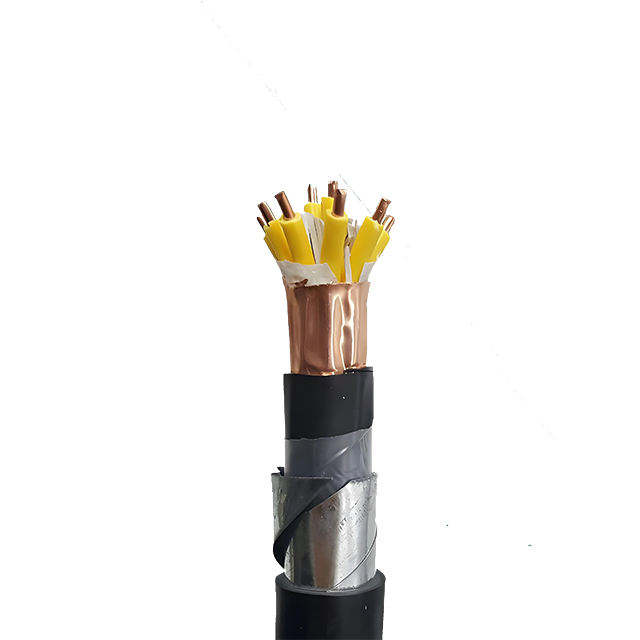 XLPE Insulated Power Cable Shielded Control Cable for Electronic Computers Rated Voltage 300/500V
