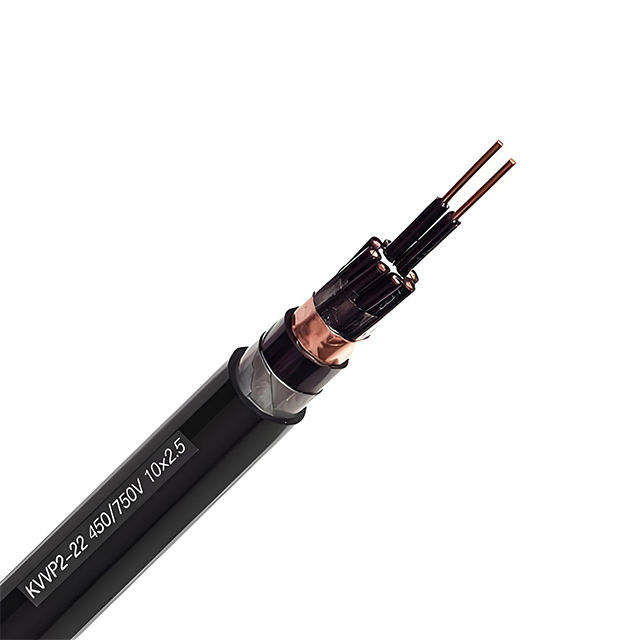 XLPE Insulated Power Cable Shielded Control Cable for Electronic Computers Rated Voltage 300/500V