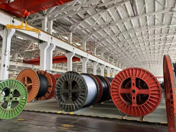 微信图片_2025-11-21_100658_866