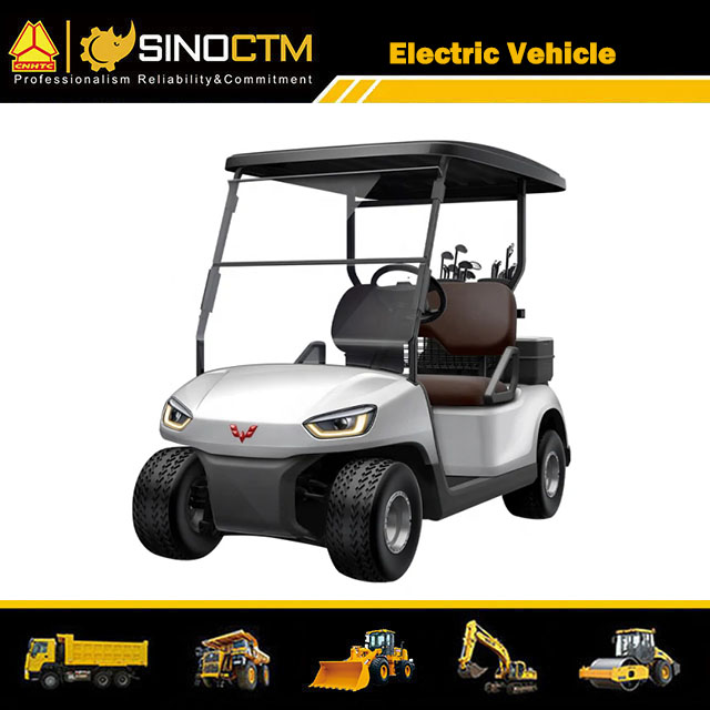 China hergestellter Golfclubwagen 2-Sitzer Elektro-Golfcart/Golfwagen/Auto