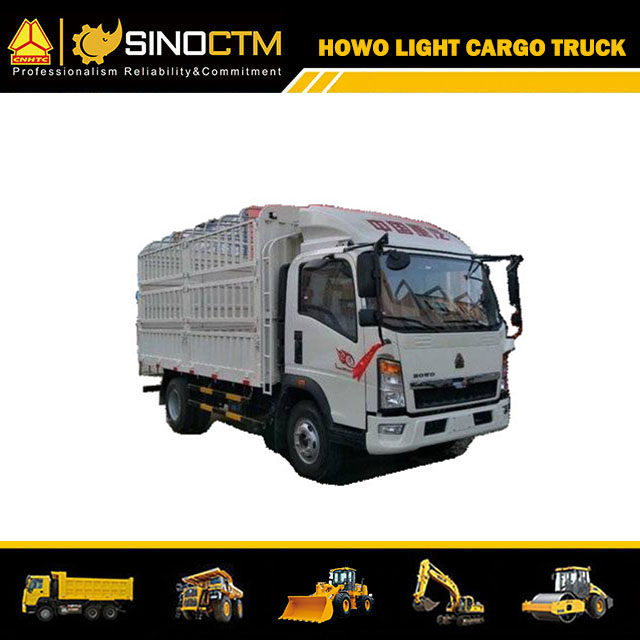 4X2 HOWO Diesel 3ton LKW