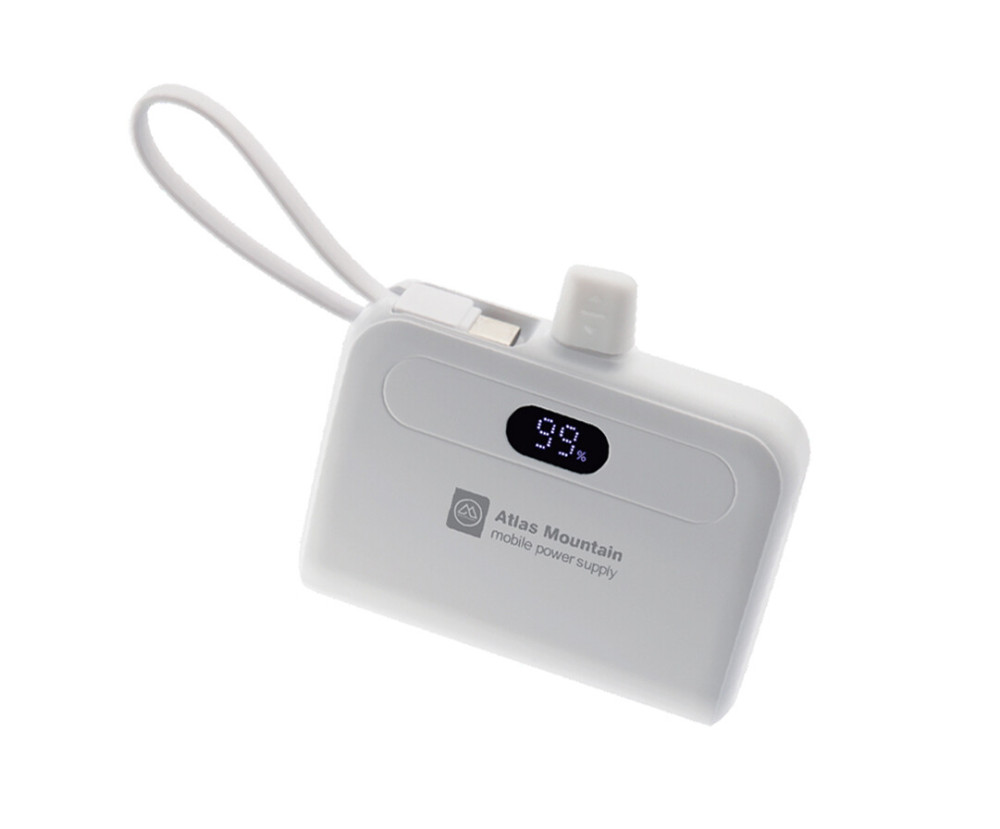 2 in 1 Promotion Power Bank 10000mAh PB-201