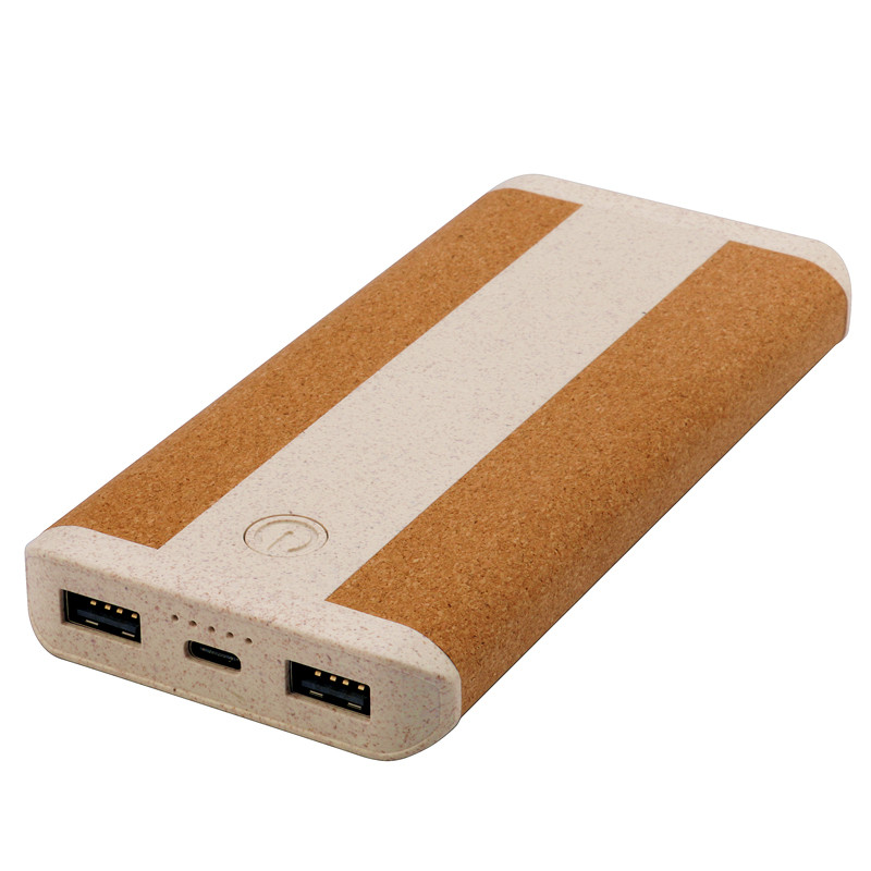 Polymer Power Bank 01-800.jpg