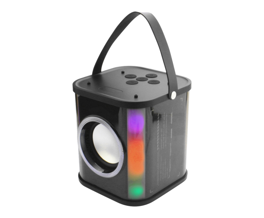 Karaoke Speaker with RGB Light