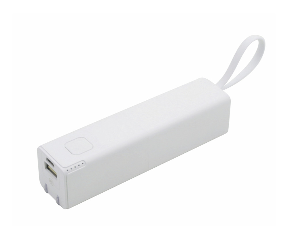 AC Wall Charger 5000mAh Power Bank