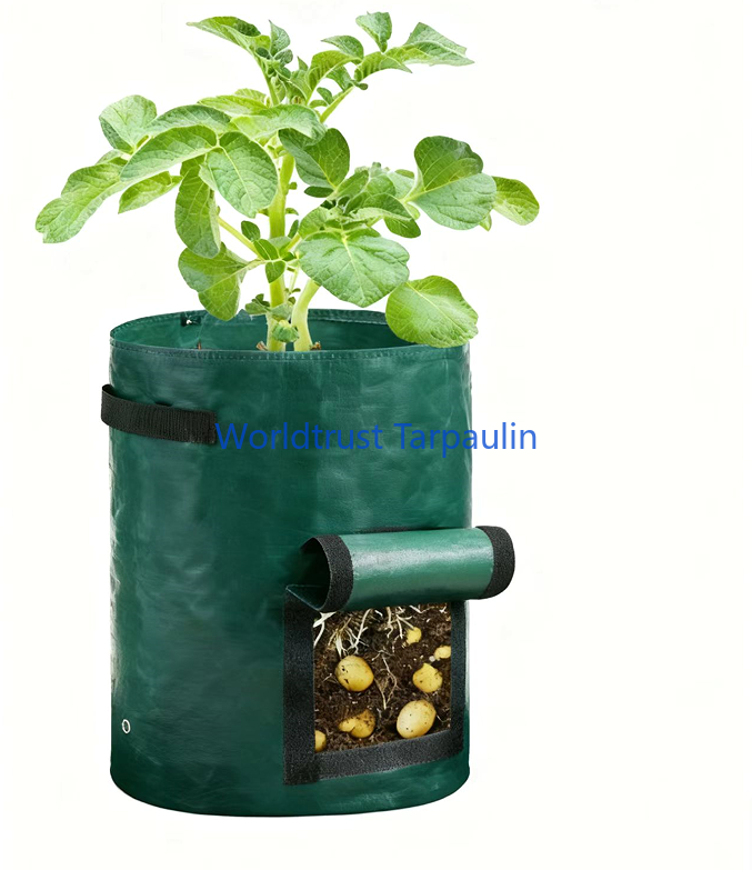 Витрина приложений