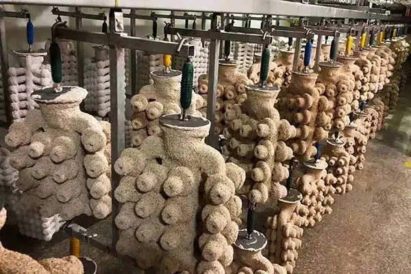 Сушка оболочки  