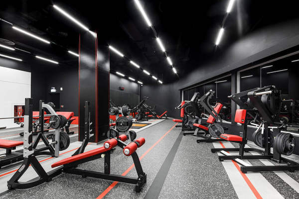 f512a4024b7fccc076cdcf51b149ab93718cb9a5227eb-GkLmzx_fw1200