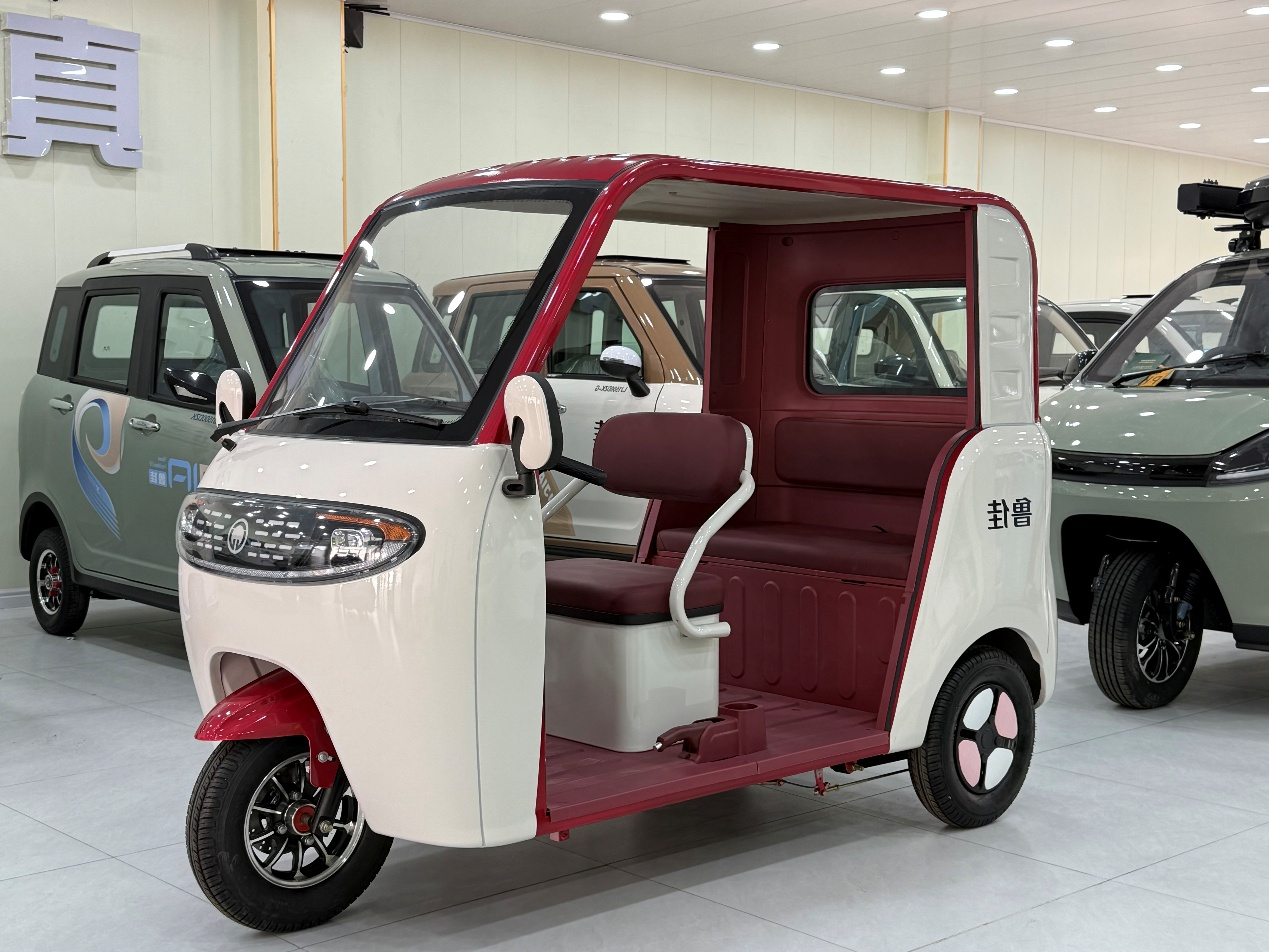 Motorcycle 3 Person Tricycle E Electric Trike Motorcycle Trade Eec Electric Tricycle