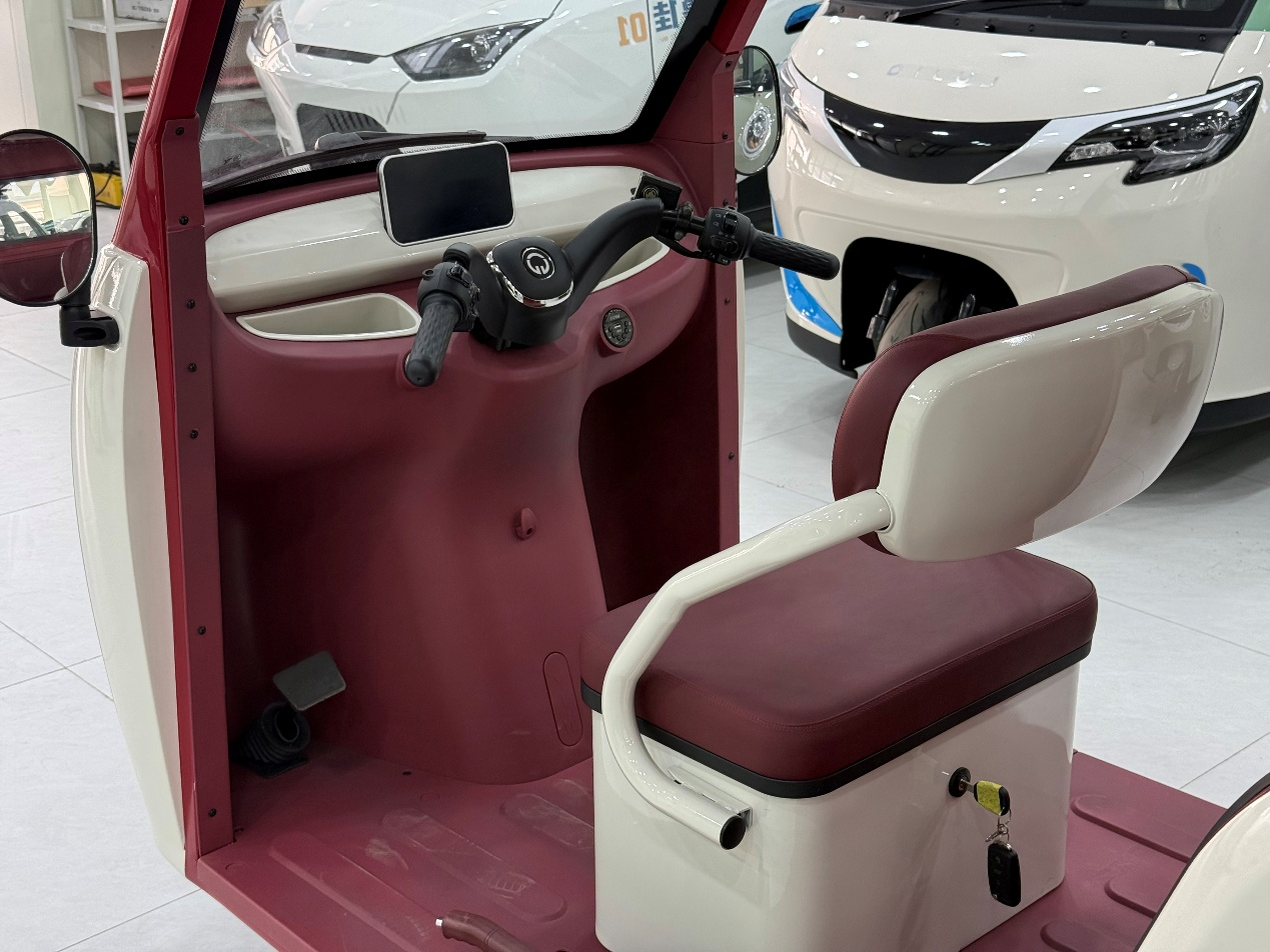 Motorcycle 3 Person Tricycle E Electric Trike Motorcycle Trade Eec Electric Tricycle