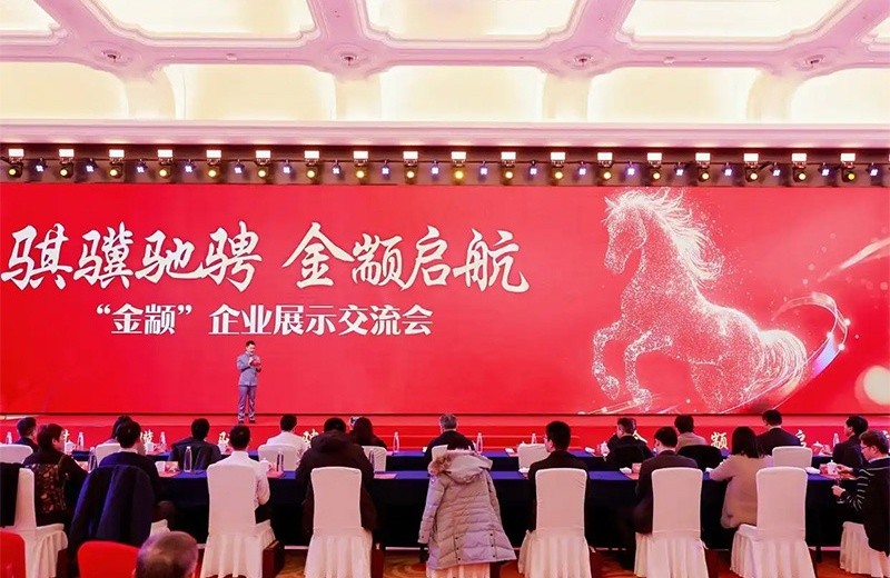 2025“金颛”交流会企业50 强发布，立格仪表荣登榜单