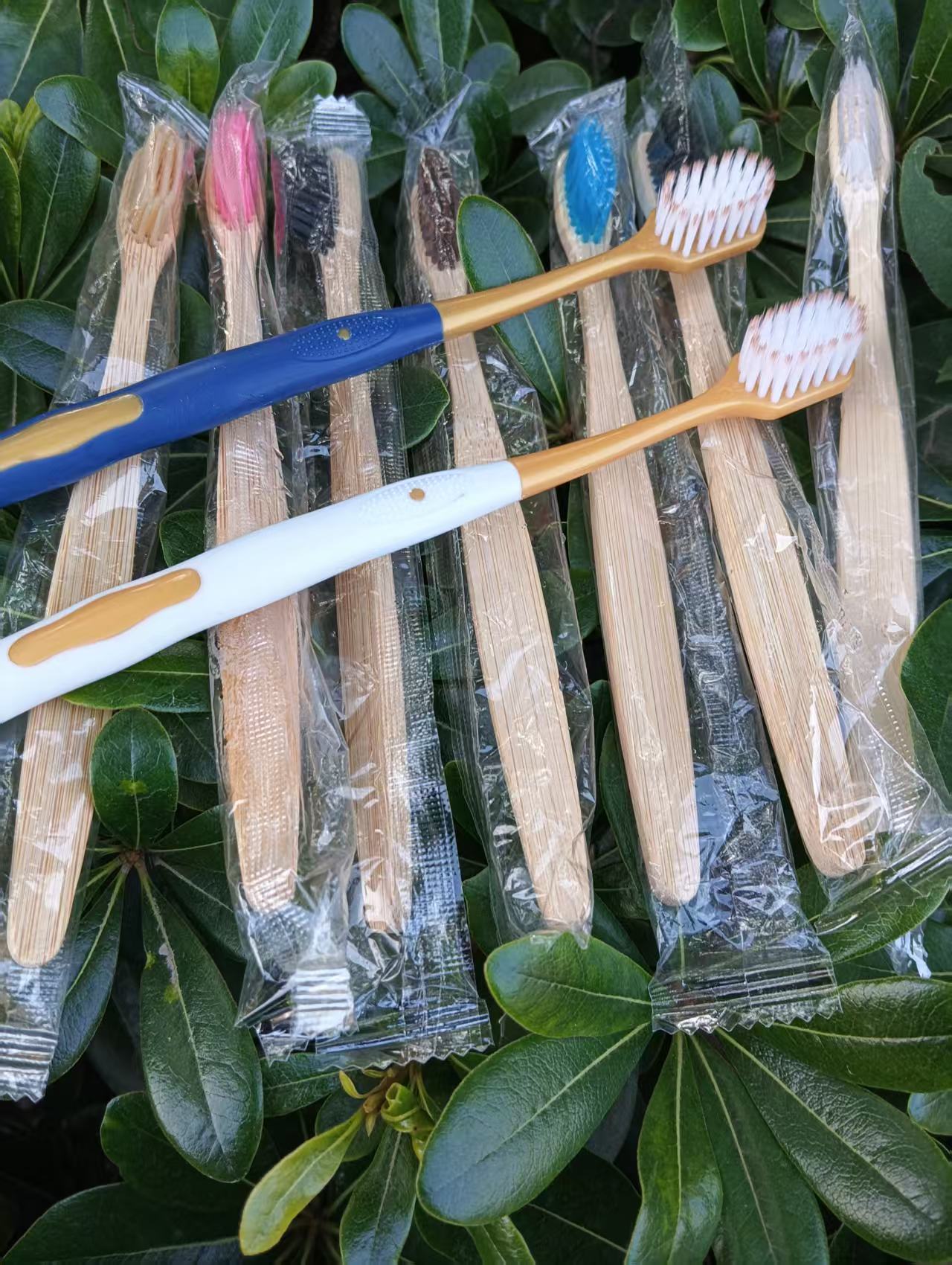 toothbrushes bamboo plastic home hotel one time use 