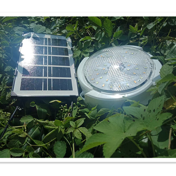 solar light