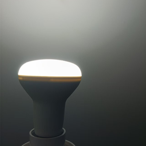 led R bulb