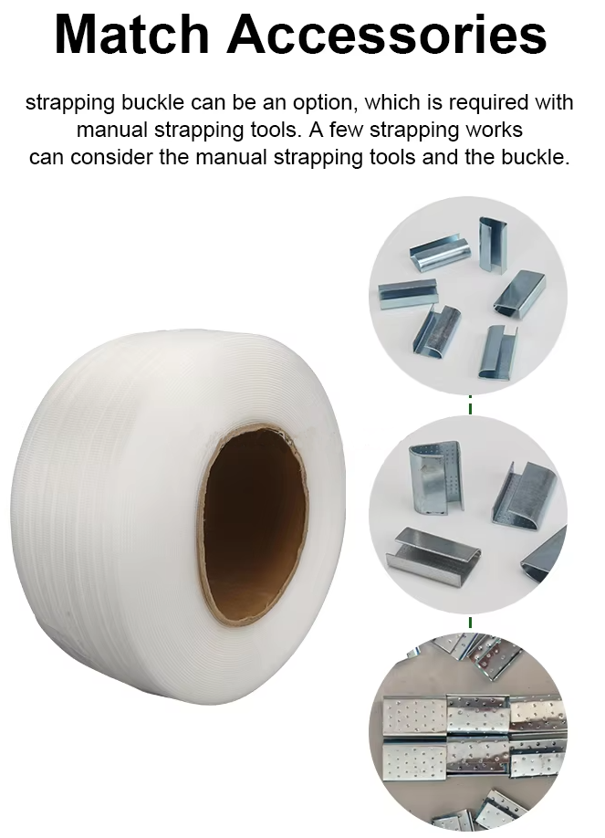 Polypropylene PP Strap Carton Packing Belt Plastic Strapping Roll