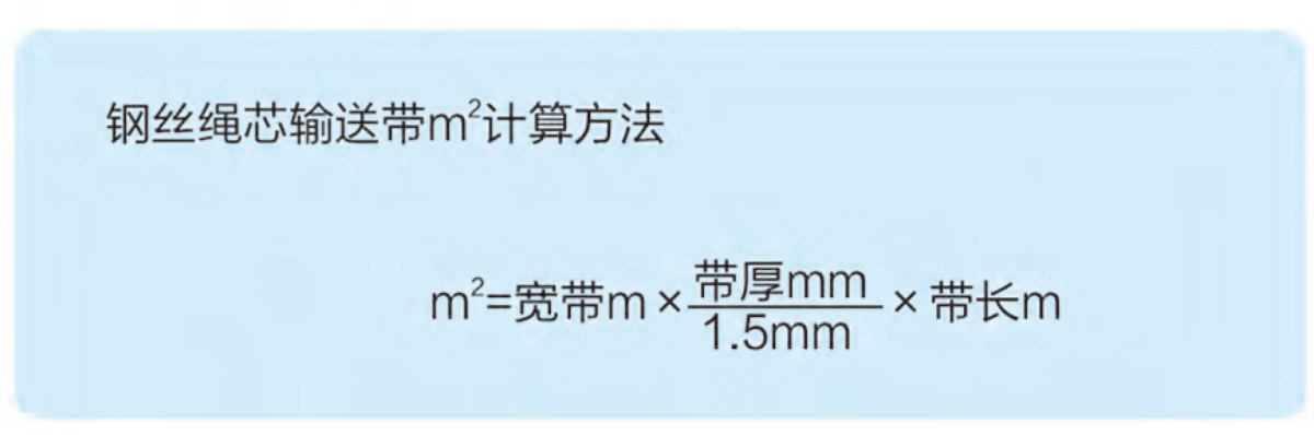 山东泰邦宣传册-13_13 Tear Resistant With Detector L oop Steel Cord Conveyor Belt