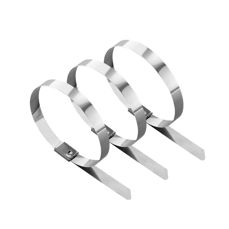  304 Bridas para cables de acero inoxidable con mecanismo de autobloqueo, correas metálicas para cables para bandejas portacables, agrupación y gestión de cables resistentes a la corrosión, protección anticorrosión de grado marino