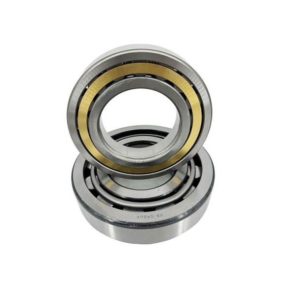 Cylindrical Roller Bearing N222 Bearing 