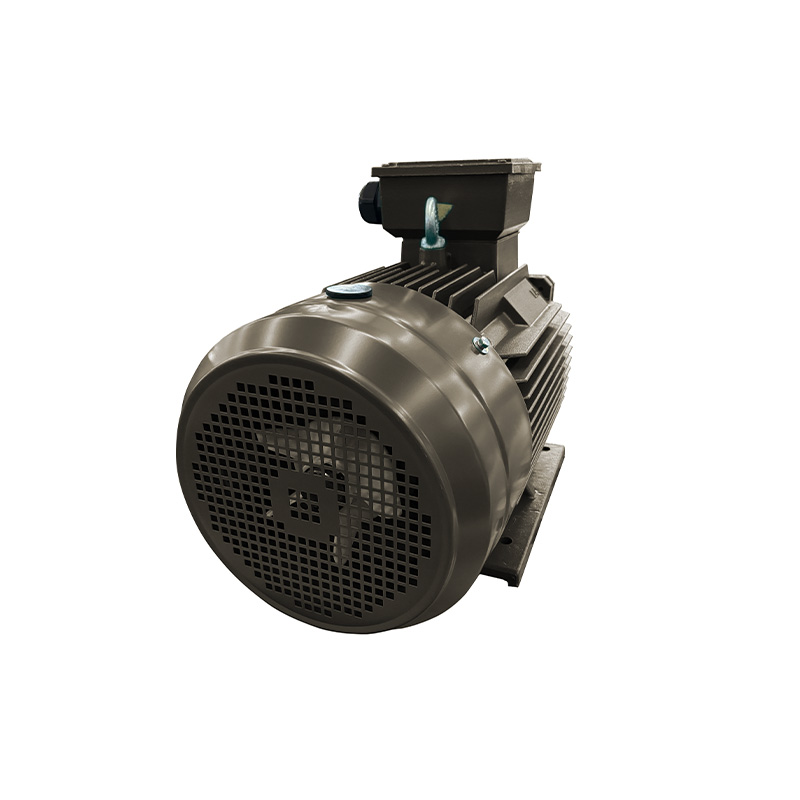 IE3系列ic411电机