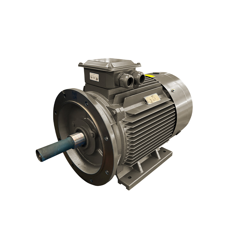 IE3系列ic411电机