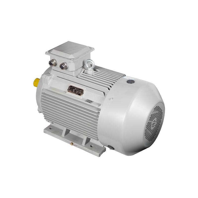 IE5系列ip65电机 IE5系列ip65电机