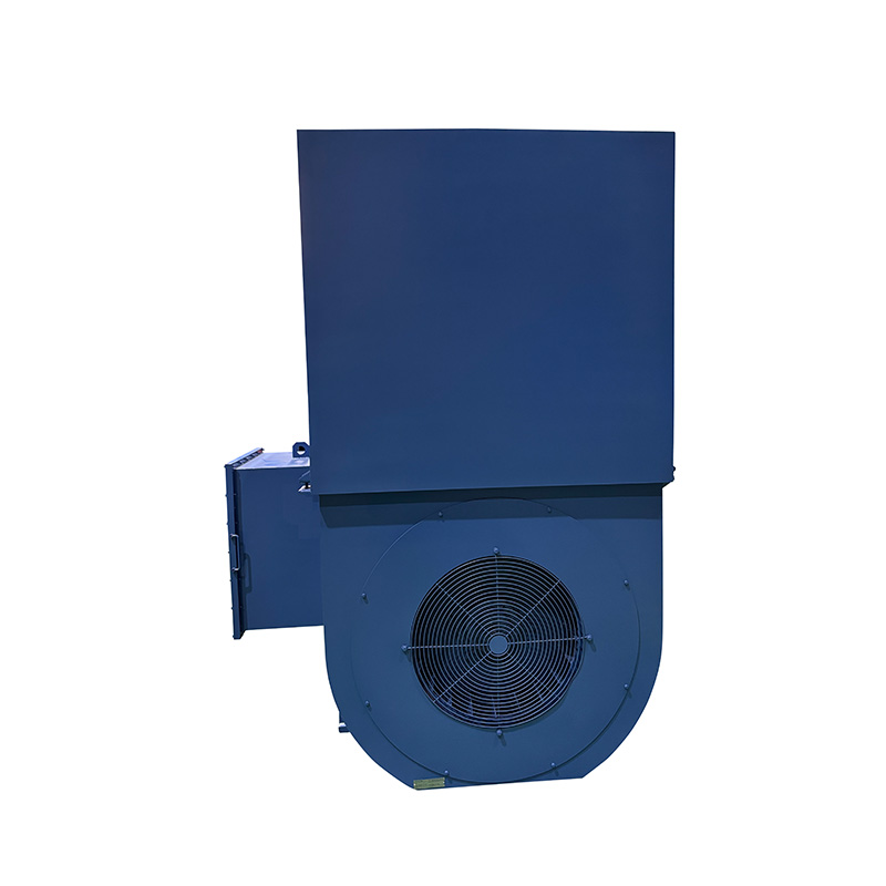 高压交流电厂电动机