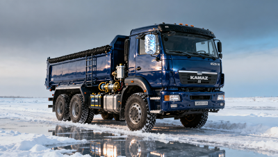 Which heavy duty trucks for sale in Russia meet both GOST certification and cold-weather durability standards?