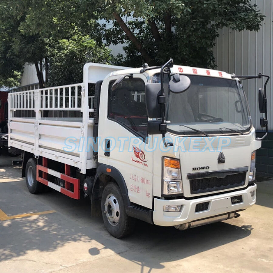 5 tons HOHAN CARGO TRUCK