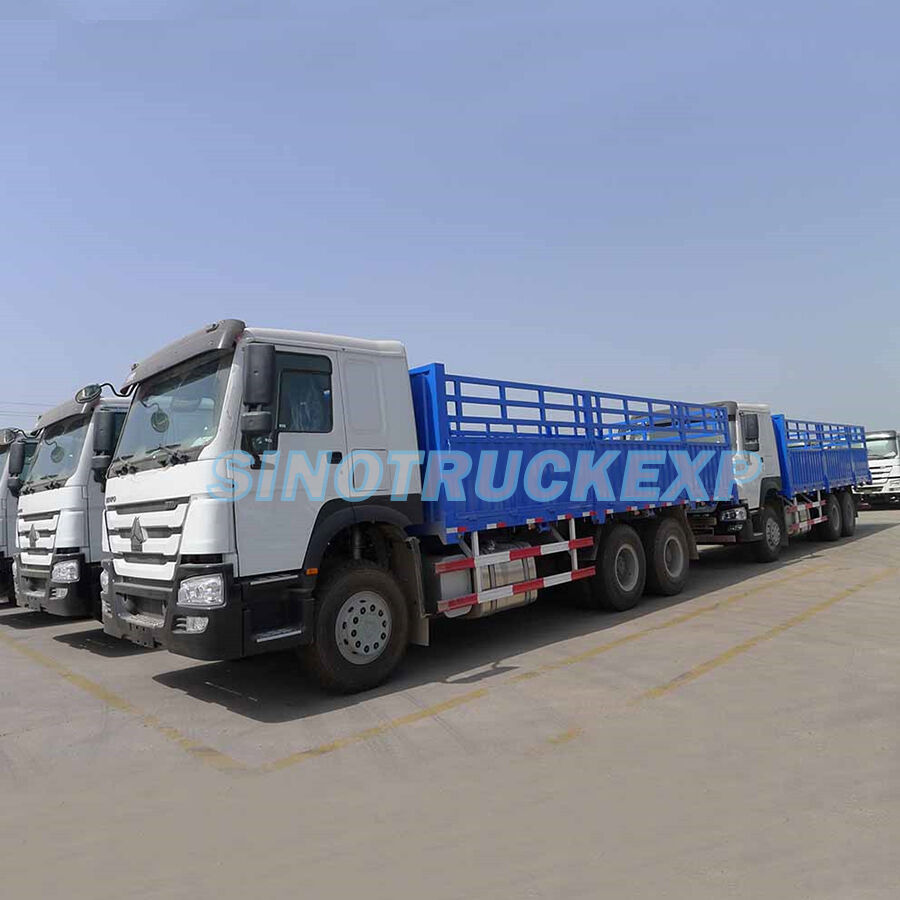 HOWO 6X4 CARGO TRUCK