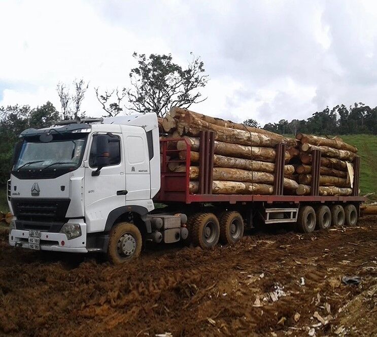 HOWO 6X4 Log Transporting Tractor Truck with trailer
