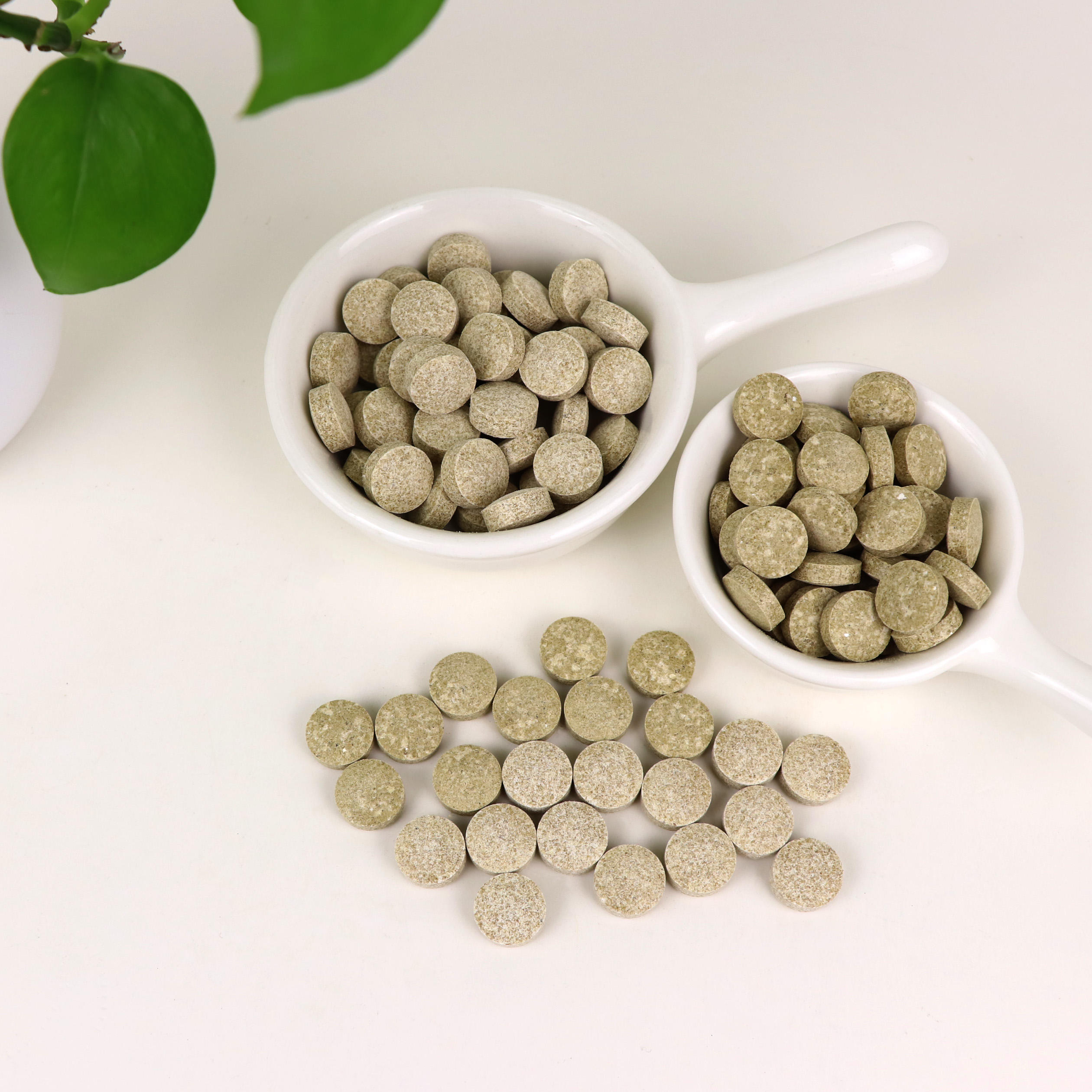Pet Health Products Cat Dog Nutrition Tablets Vitamin Joint Care Probiotics Immune Enhancement Beauty Hair Skin Care Supplement