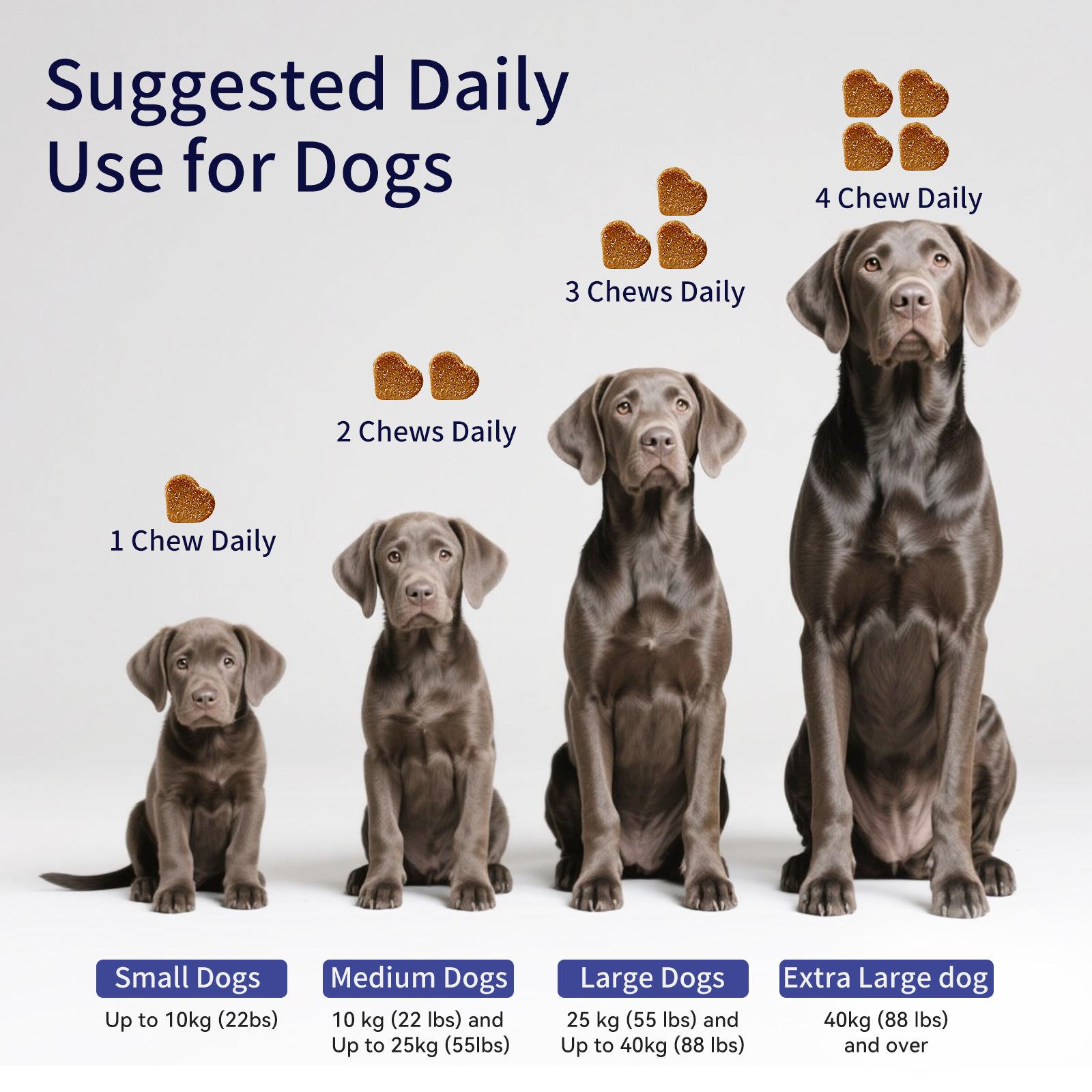 Pet Health Care Supplements Turmeric Curcumin Soft Chews for Promote Digestive Health Support Healthy Immune Response