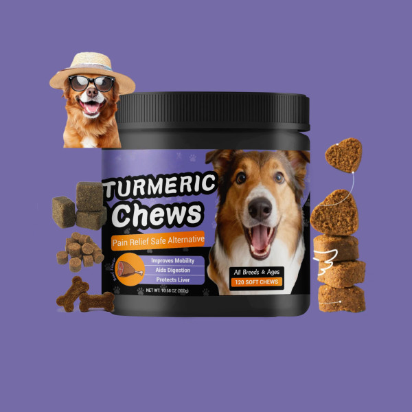 Pet Health Care Supplements Turmeric Curcumin Soft Chews for Promote Digestive Health Support Healthy Immune Response
