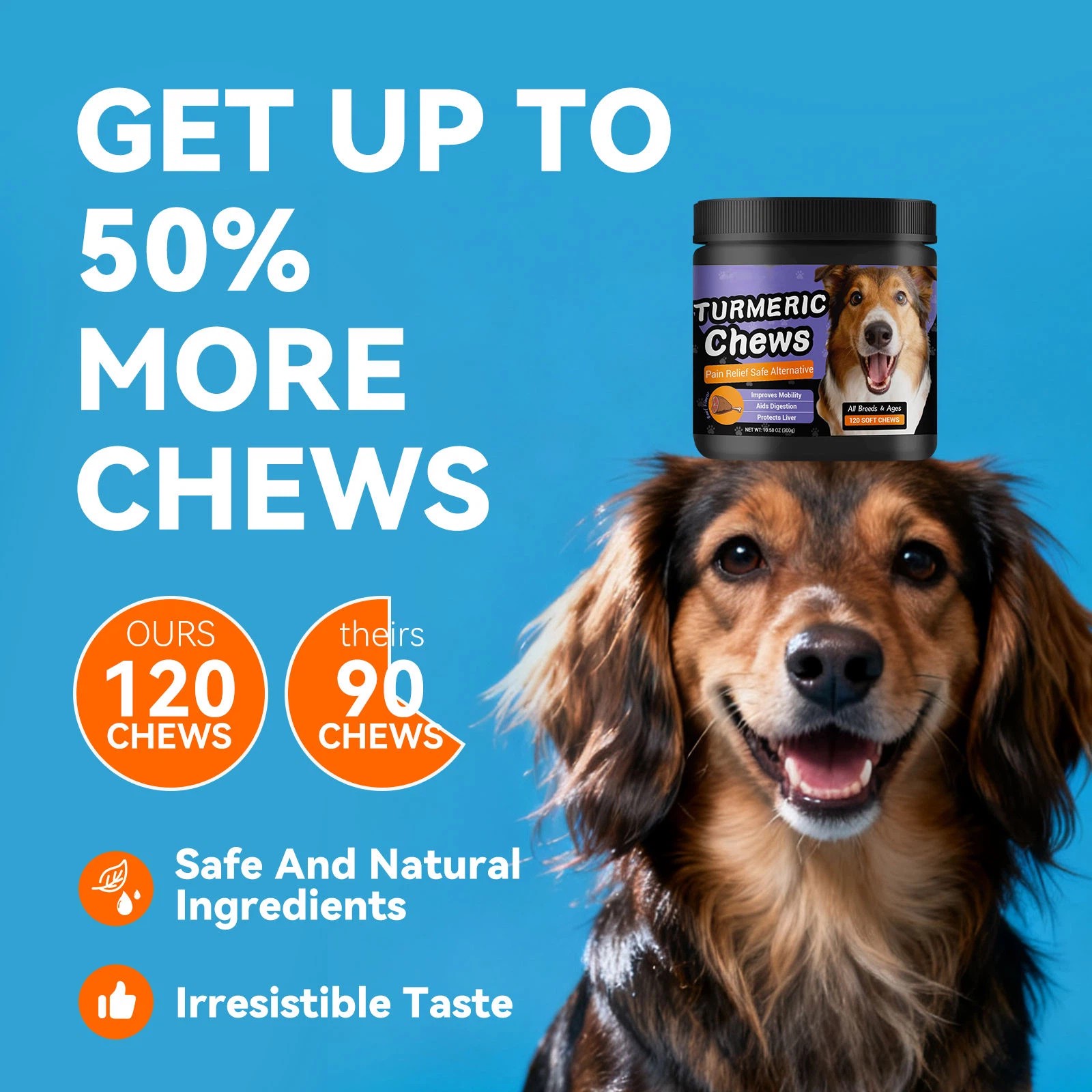 Pet Health Care Supplements Turmeric Curcumin Soft Chews for Promote Digestive Health Support Healthy Immune Response