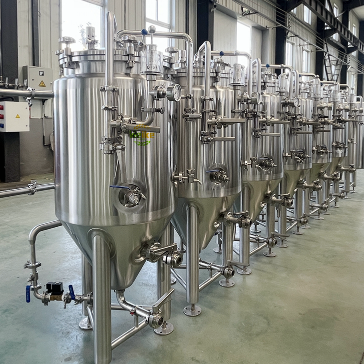 Fermentador de cerveza de 100L 200L