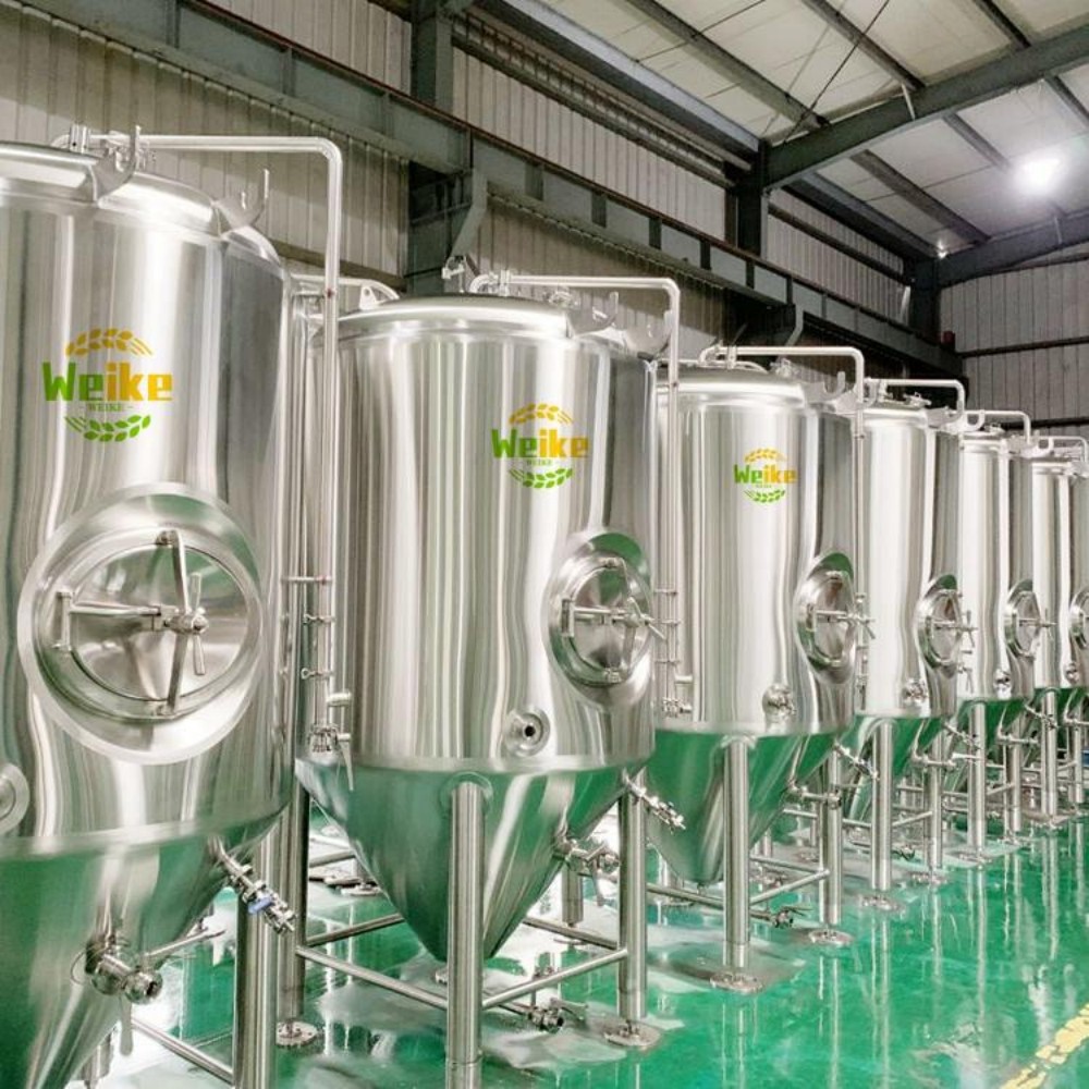 Fermentador de cerveza cónico de acero inoxidable de 2000L