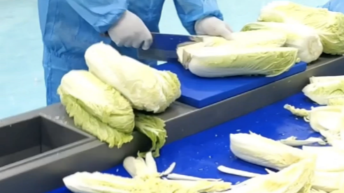 5 especificaciones fundamentales que hay que comparar en los cortadores de verduras multifuncionales