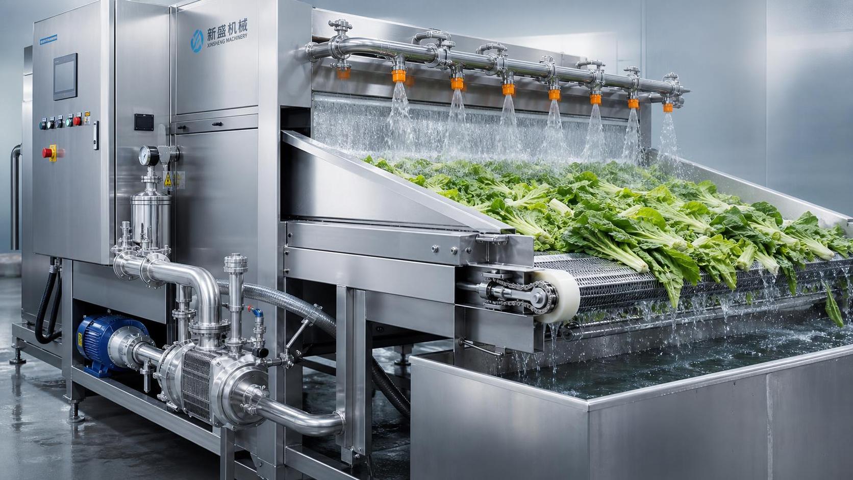 What Maintenance Points Matter Most for Long-Term Commercial Vegetable Washer Use?
