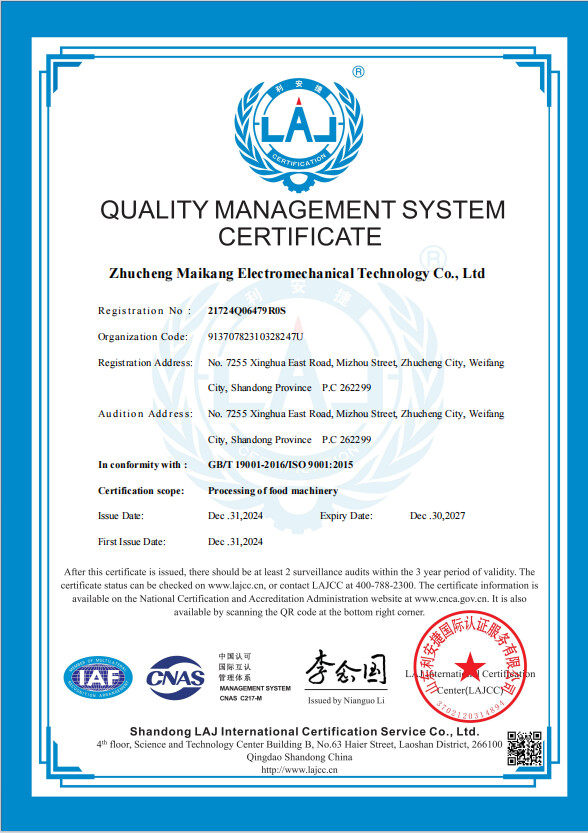 iso9001 на английском