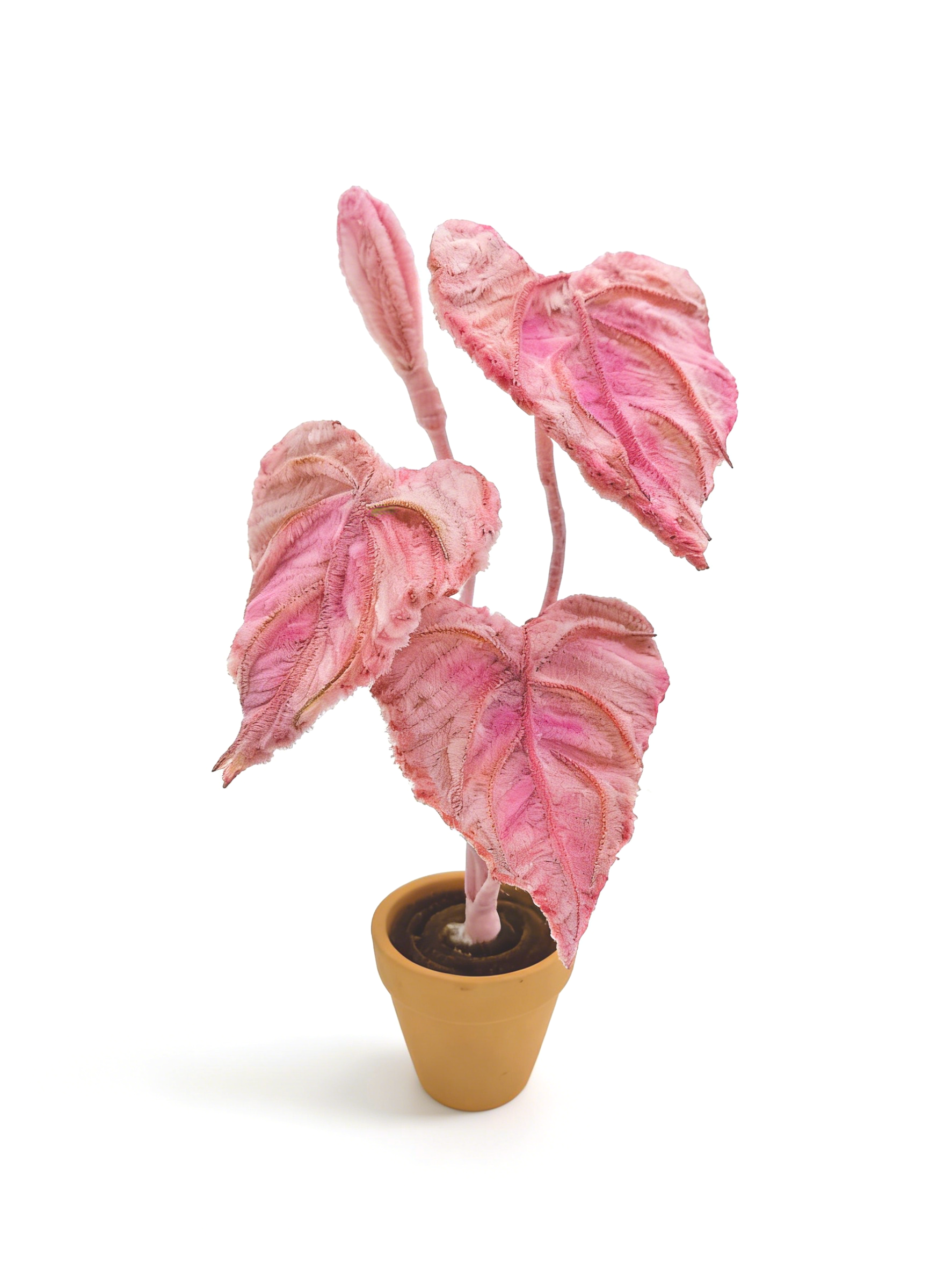 Набор для творчества из синельной проволоки «Розовая алоказия», набор для DIY, креативные художественные материалы для декора комнаты, набор для творчества оптом для детей и взрослых, милый подарок для любителей растений в пастельных тонах