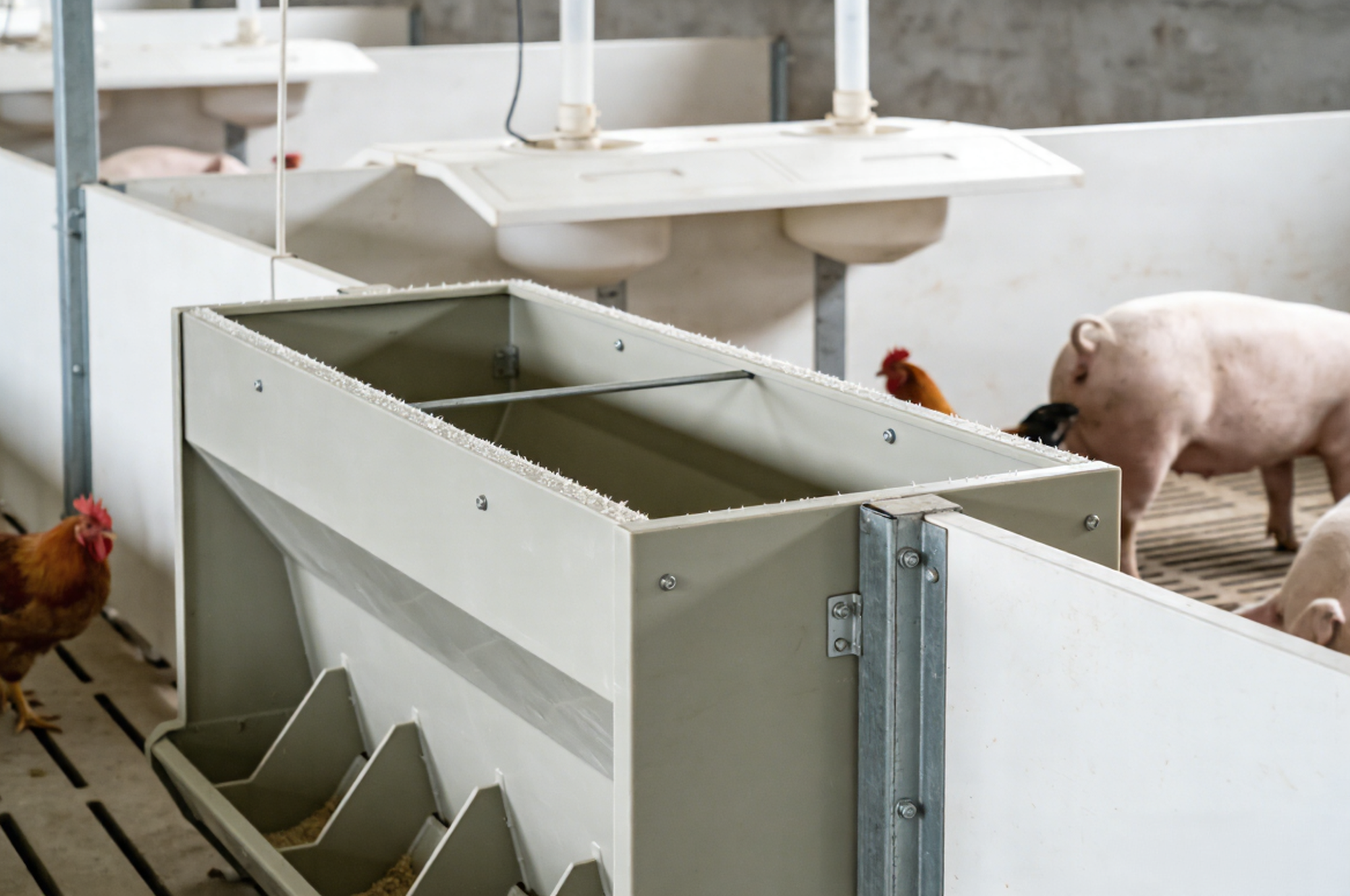 РР Рыбное хозяйство с рециркуляционной аквакультурой