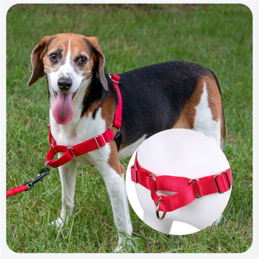 Harness/Dog Harness Vest-style Nylon Anti-pull Leash for Small Medium and Large Dogs Pet Supplies
