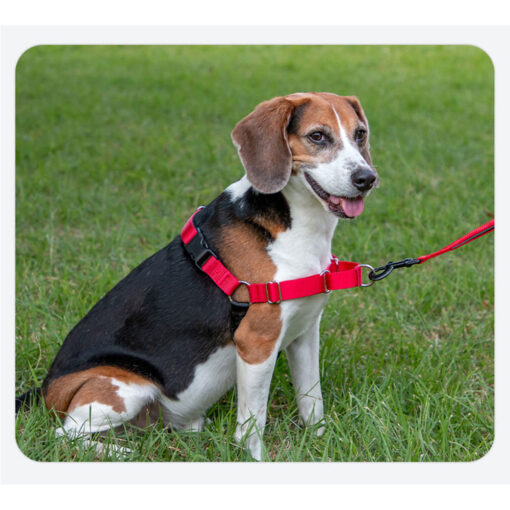 Harness/Dog Harness Vest-style Nylon Anti-pull Leash for Small Medium and Large Dogs Pet Supplies