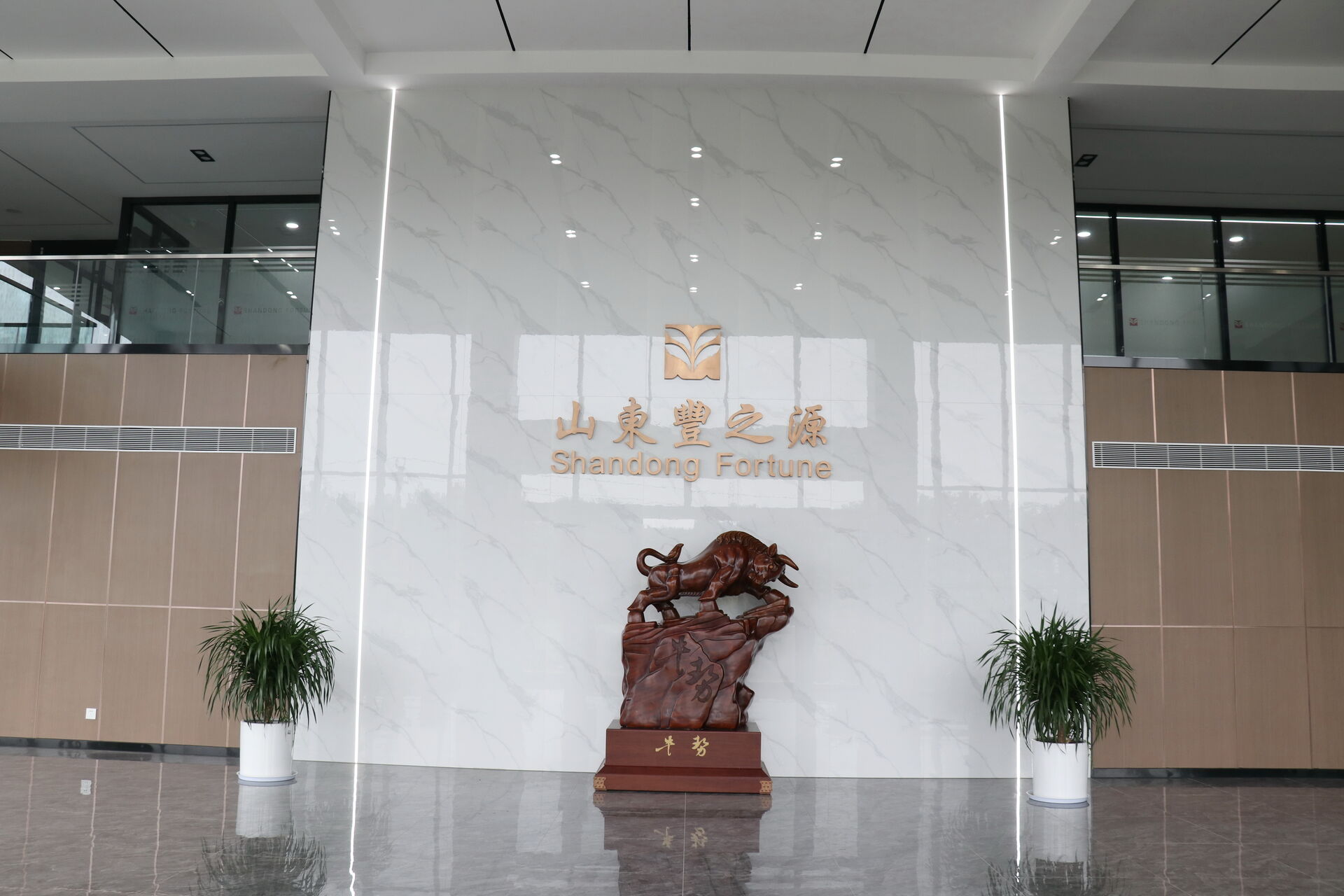 Our future goal is: leading fashion trend, trying best to meet the demands of our customer, improving development ability and human-based management. So Zibo Fortune is devoted to be a corporation of industrial investment and advanced international busi Our future goal is: leading fashion trend, trying best to meet the demands of our customer, improving development ability and human-based management. So Zibo Fortune is devoted to be a corporation of industrial investment and advanced international busi