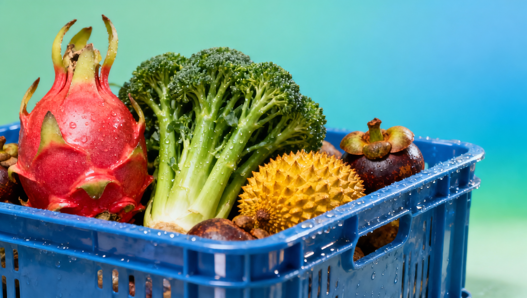 Fruit and vegetable exports from Southeast Asia grew — but phytosanitary rejections jumped 23%