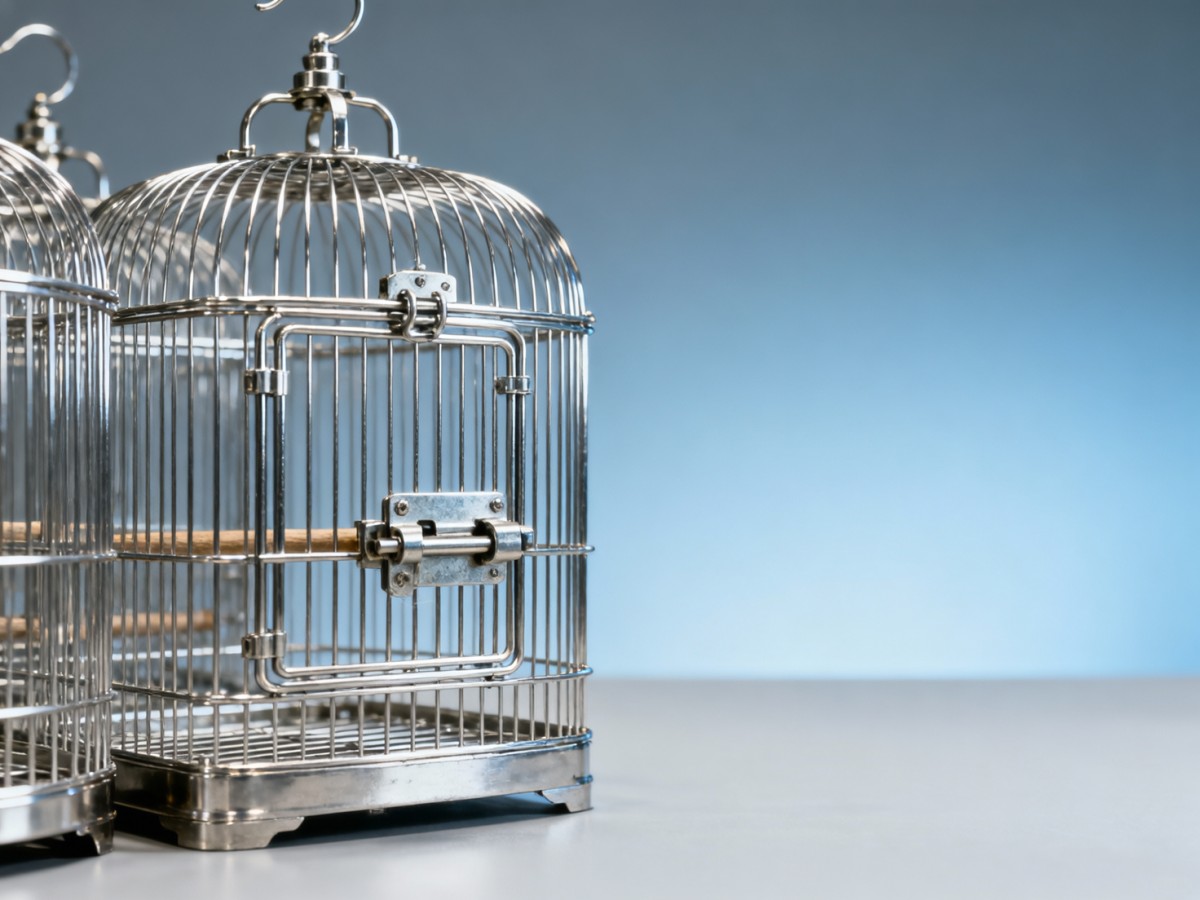 Bird cage wholesale units arriving with misaligned door latches—no one mentioned tooling drift